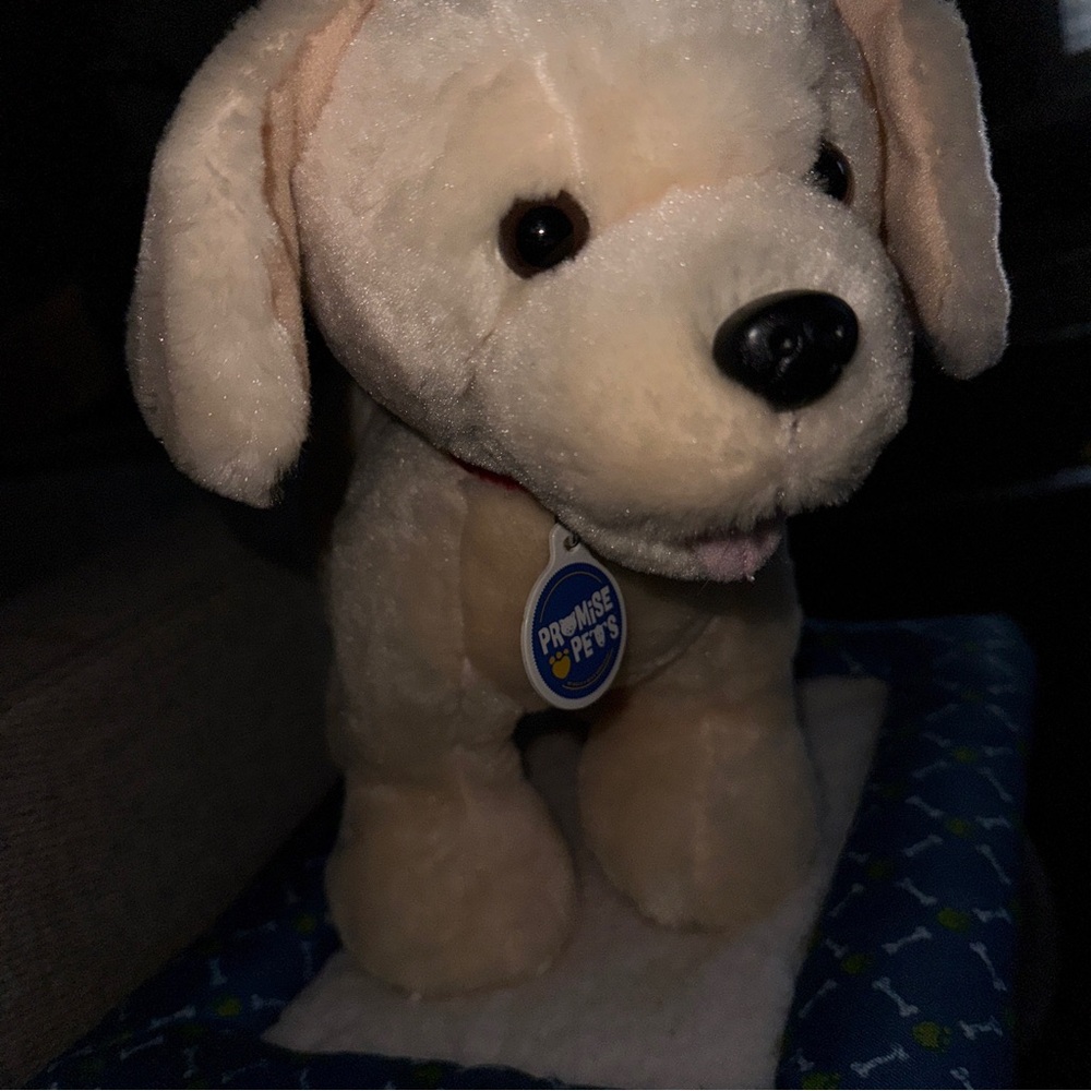Build a Bear Promise Pets Golden Retriever Yellow Labrador Puppy 11" & Dog BED - Picture 3 of 16